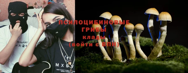 молекула духа Алексин
