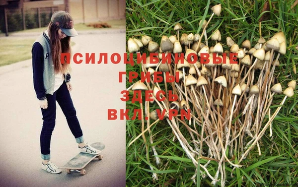 молекула духа Алзамай