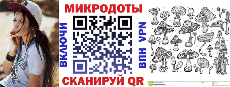 купить закладку  Пучеж  Псилоцибиновые грибы Psilocybe 
